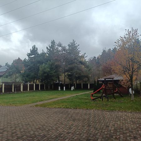 Vila A&N Timisu de Jos Buitenkant foto